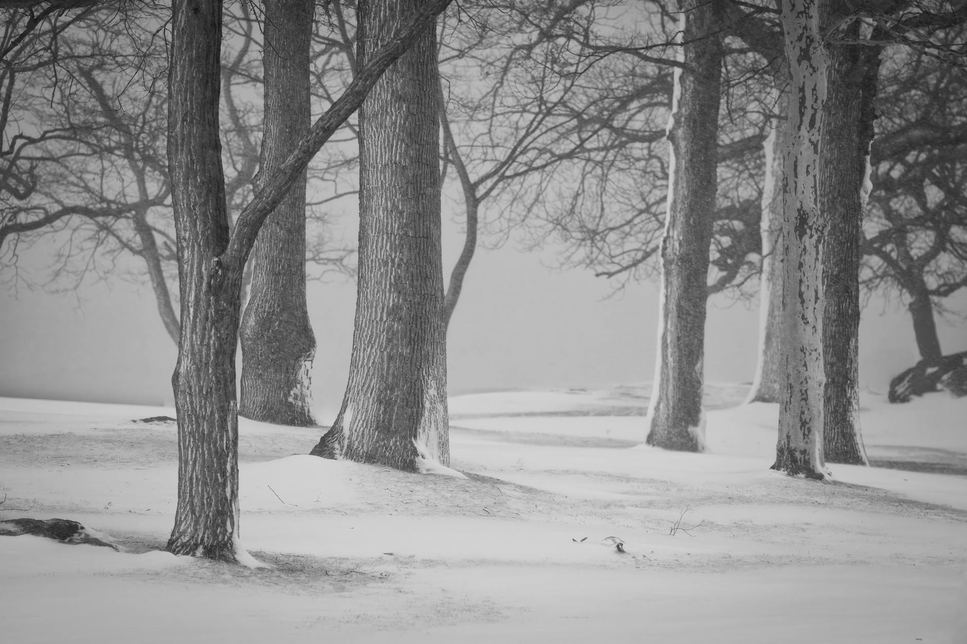 Severe winter weather conditions with snow and wind affecting infrastructure