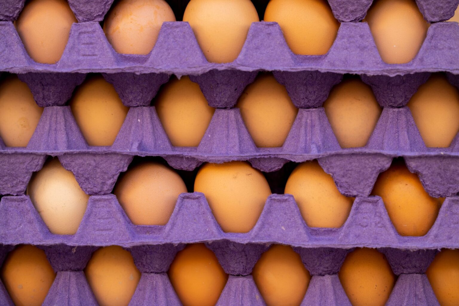 Cartons of eggs displayed on a grocery store shelf