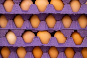 Cartons of eggs displayed on a grocery store shelf