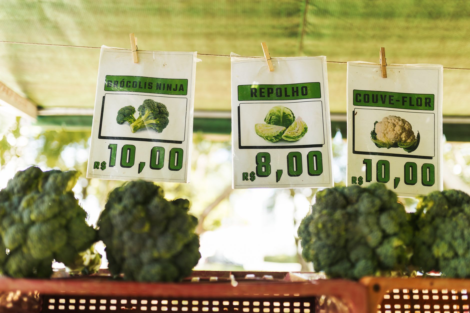 Close-up of price tags on grocery store shelf items