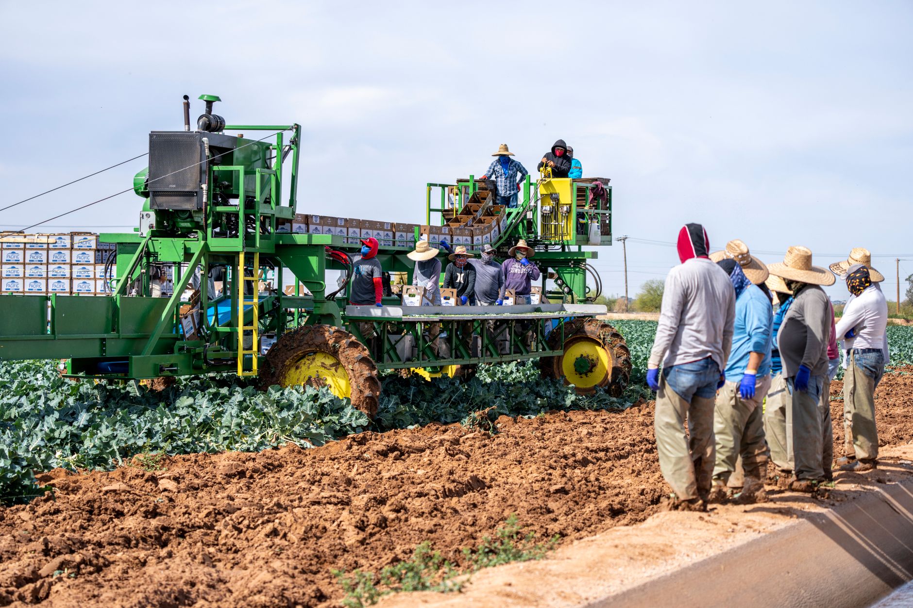 Agricultural worker in a rural field representing seasonal rural employment