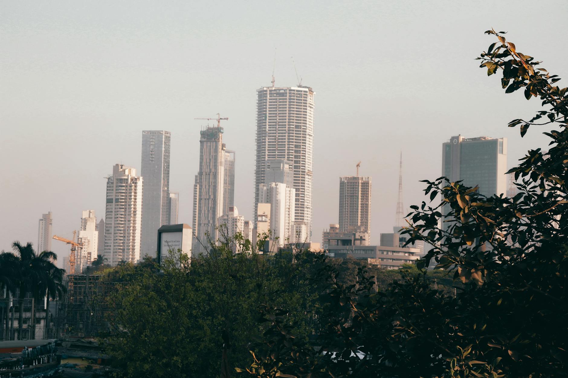 Construction cranes and new high-rise buildings against a city skyline