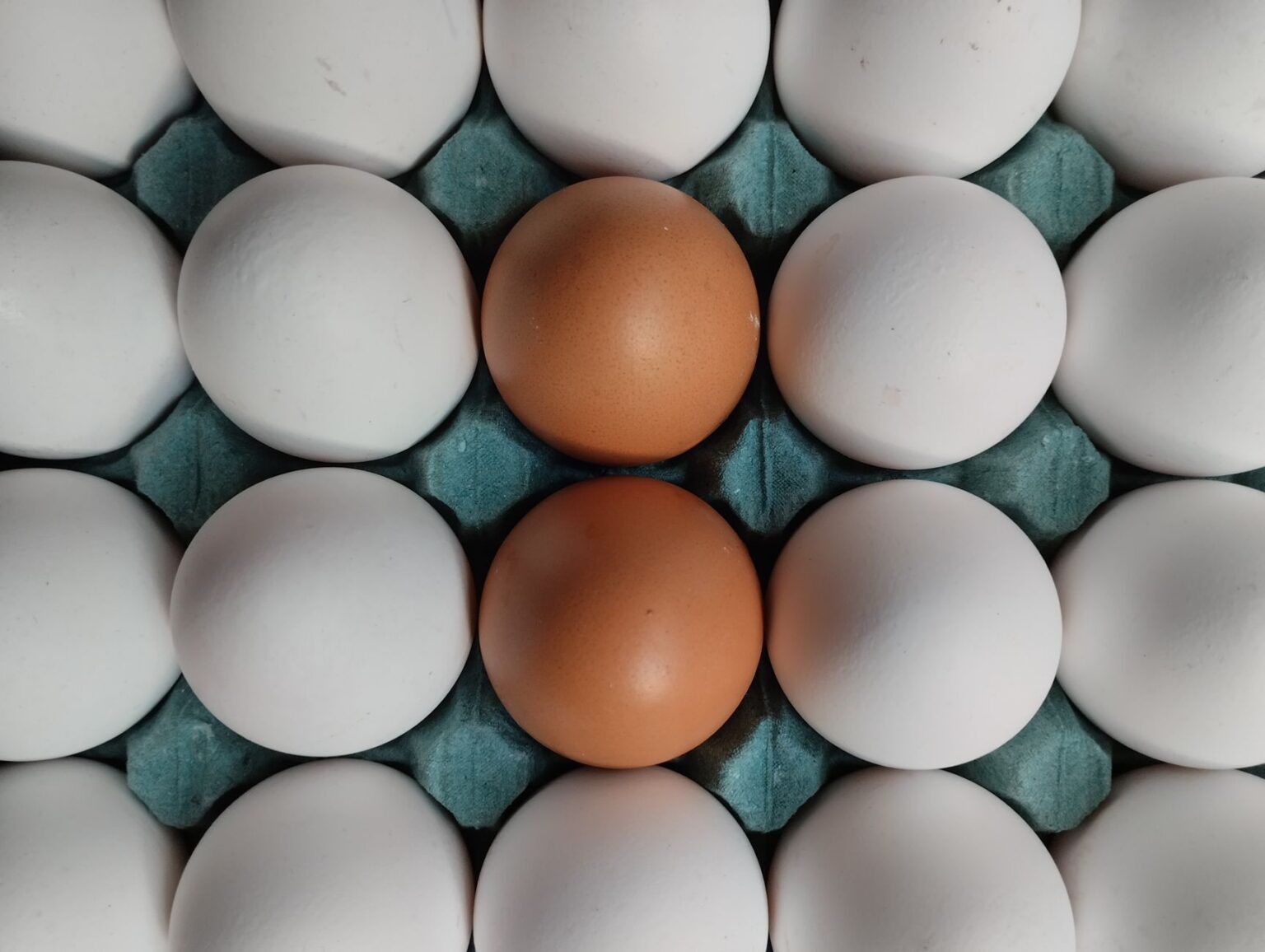 Rows of egg cartons on a grocery store shelf representing retail egg supply