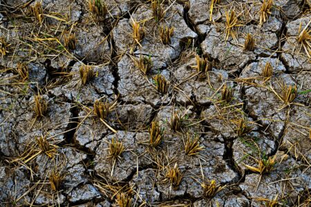 Cracked dry soil on a drought-stricken agricultural field