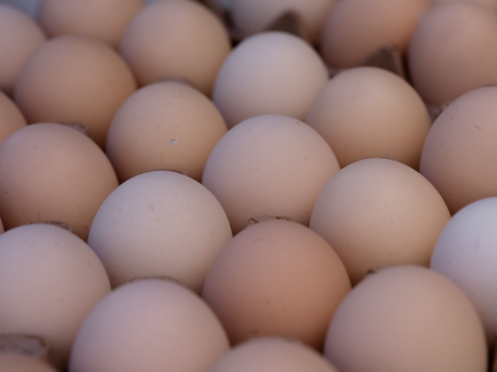 Cartons of eggs stacked at a retail market with price tags visible