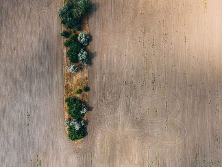 Dry cracked farmland in the American Midwest showing effects of drought on crops