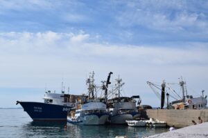 Commercial Fishing Quota Cuts Squeeze Small Boat Operators Nationwide Small commercial fishing vessels docked at a regional port