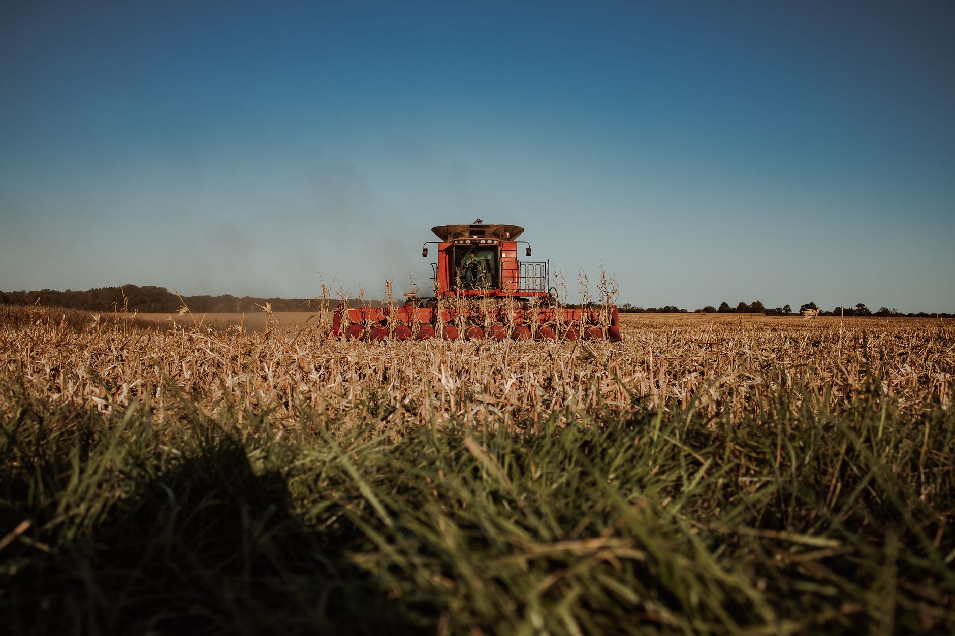 Large-scale corn harvest in progress across flat agricultural land
