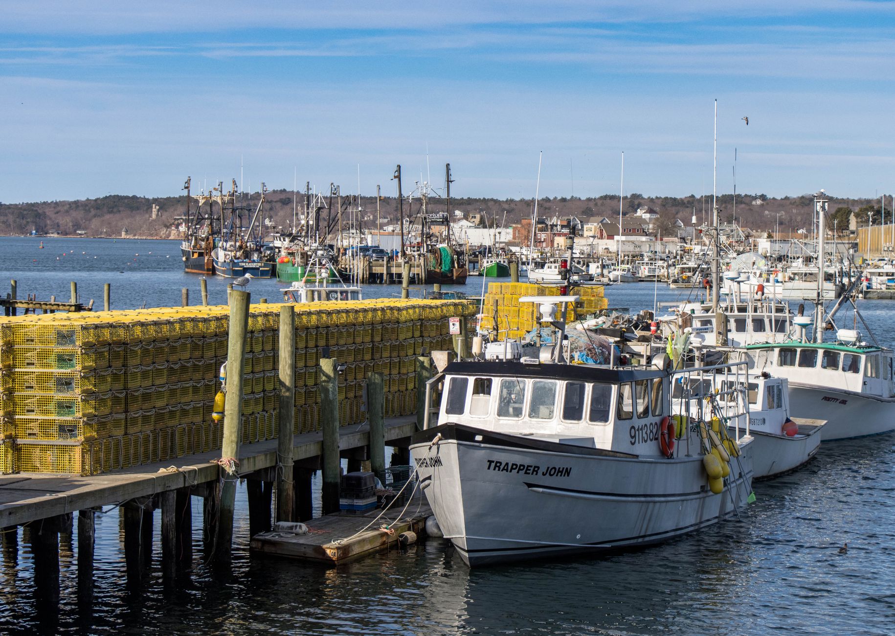 Fishing boats moored at a commercial dock at low tide