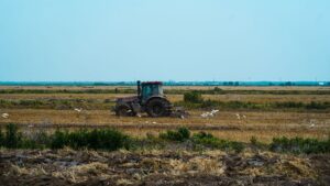 A large farm tractor working in an open agricultural field during harvest season