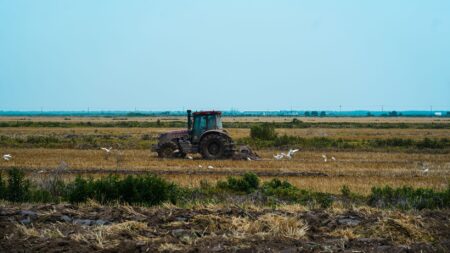 A large farm tractor working in an open agricultural field during harvest season