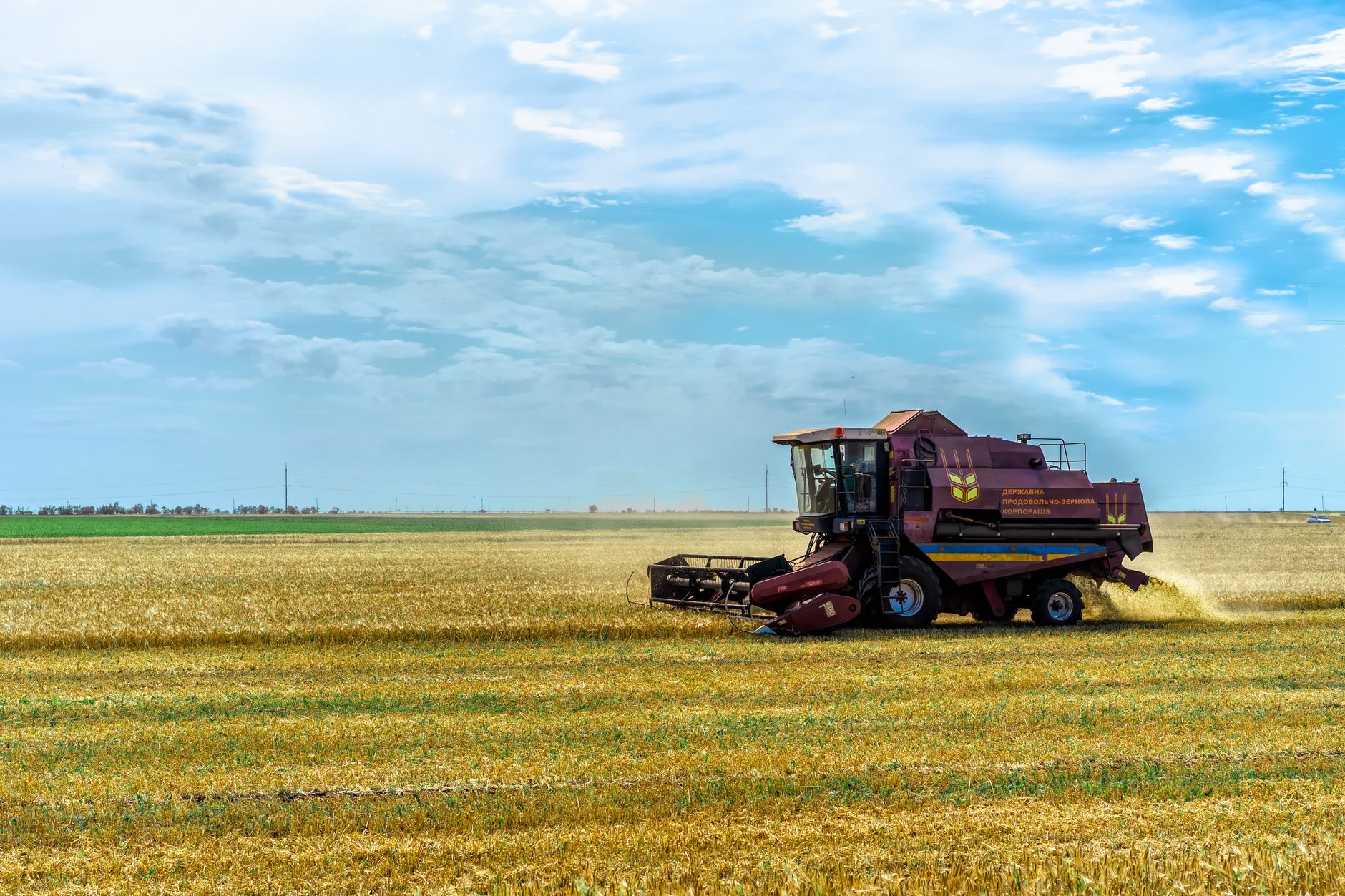 Golden wheat field being harvested under a clear sky in the American Midwest